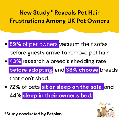 FurFree Glove ~ Quick Pet Hair Removal – The UK’s Favourite Pet Hair Solution