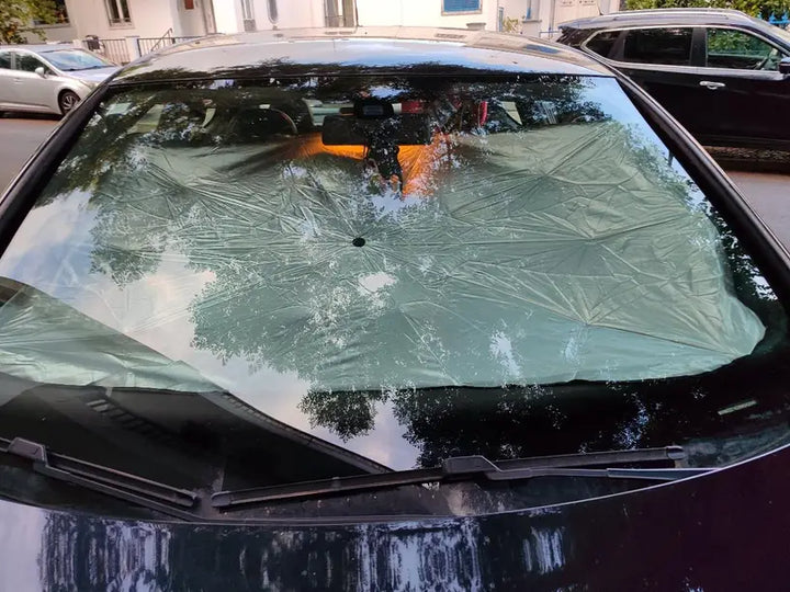 Review by Ellie Spence