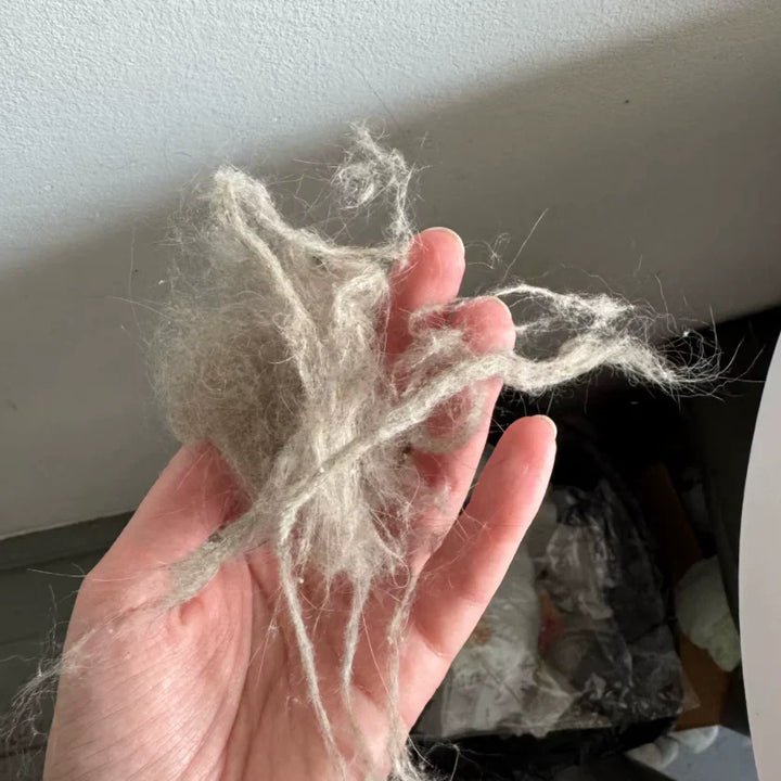 Review by Jack Turner