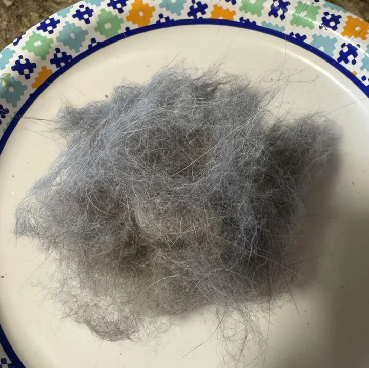 Review by Ryan Fletcher