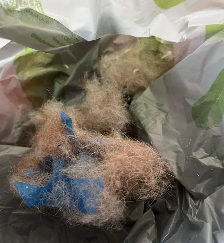 Review by George Wallace