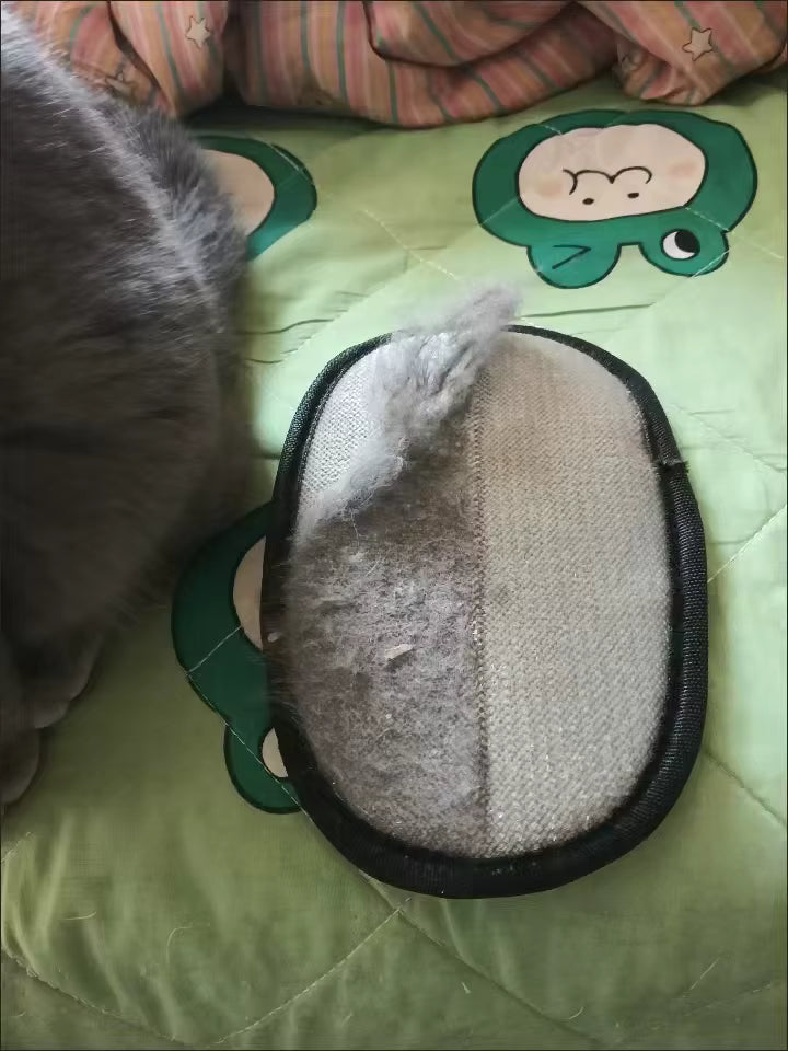 Review by Amelia Wright