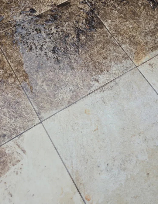 Review by MaxPower91